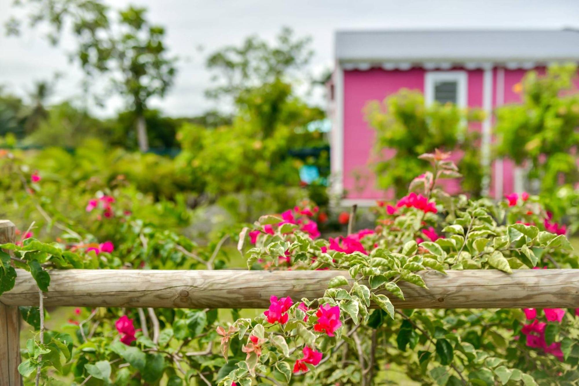 Les Jardins De Chantilly -Bungalows 4 Etoiles Avec Jardins Et Piscines Privees 바이에-마울트 객실 사진